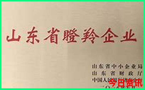 初中毕业去哪里玩好