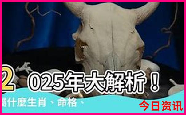 去哪里旅游最好推荐2025